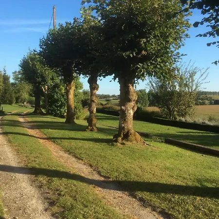 The Glade Campsite